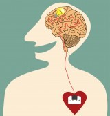corazon-cerebro