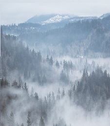 Una niebla misteriosa